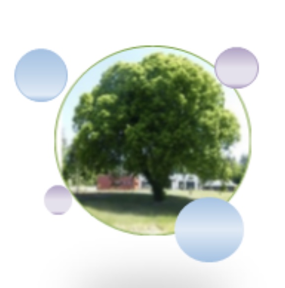 Plateforme D Accompagnement Et De R pit La Bulle Des Aidants Caudan
